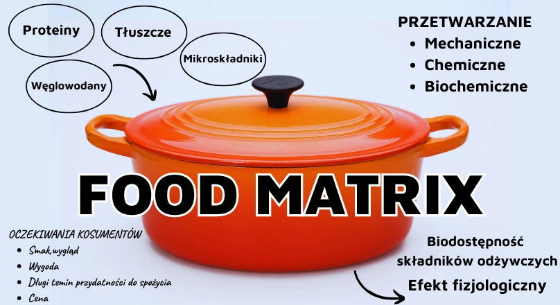 co to jest żywność przetworzona żywność przetworzona i nieprzetworzona wpływ na zdrowie food matrix tłuszcze trans makroskładniki mikroskładniki skład żywności