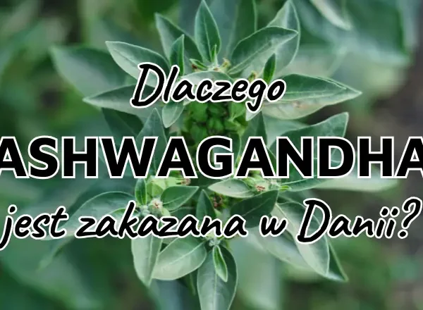 Ashwaganda jest zakazana